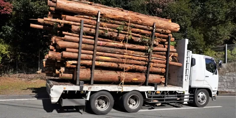 木の輸送イメージ